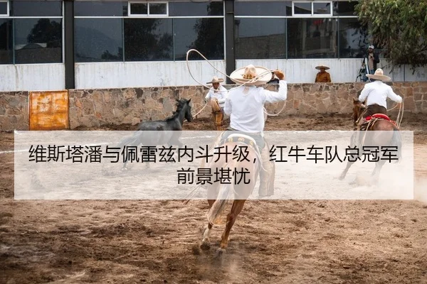 维斯塔潘与佩雷兹内斗升级，红牛车队总冠军前景堪忧